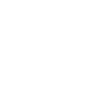 Engine diganostice icon