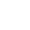 Tyre & wheel alignment icon